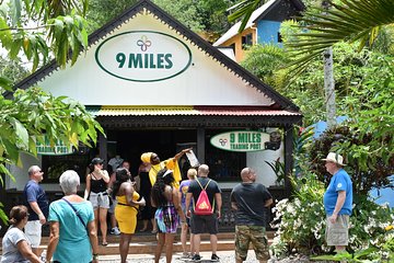 Day Trip to Bob Marley's Nine Mile and Dunn's River Falls from Falmouth