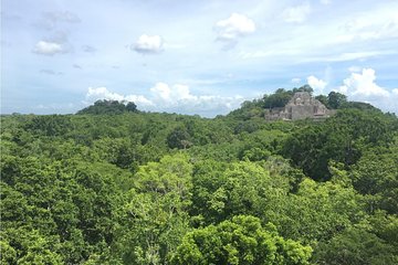 Adventure in Calakmul departing from Campeche