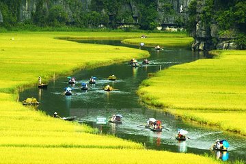 Hoa Lu, Tam Coc, Mua Cave Day Tour via Boat & Bike, Buffet lunch