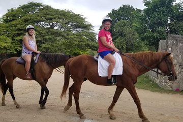 Sand n Saddle Horseback Ride & Swim Tour from Falmouth