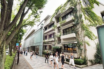 Essential tour for fashion and art in Tokyo for 6 hours with local lunch