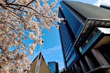 Essential tour for fashion and art in Tokyo for 6 hours with local lunch