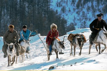 Winter Wonderland, The Taiga