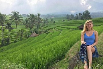 Private Full-Day Tour Jatiluwih Rice Terrace and Tanah Lot Temple