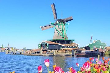 Volendam & Zaanse Schans PrivateTour: ijmuiden Felison cruiseship