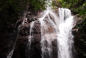 Jungle Trek + Waterfall + Batu Caves
