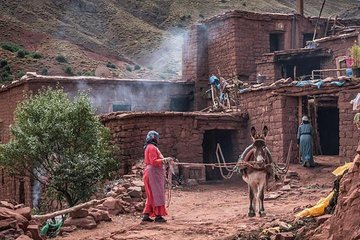 day trip from marrakech to atlas mountain& waterfuls