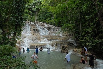 Montego Bay tour: Dunn's River Falls