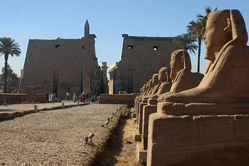 Private Day tour to Luxor from Aswan 