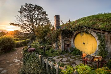 Waitomo & Hobbiton Guided Tour departing Auckland