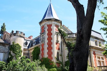 Châteauneuf Du Pape intensive vineyard & fine wine experience