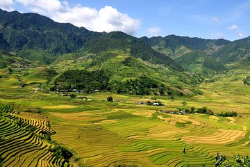 5days 4nights Lan Ha Bay-Sapa-Ninh Binh=>Free Airport Transfer &Street food tour