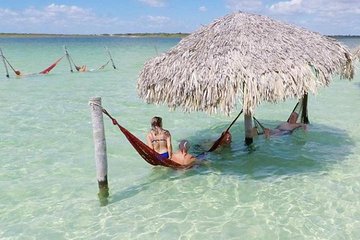 Private Buggy Ride to Lagoa Paraíso + Buraco Azul + Prea + Tree of sloth. 6hs