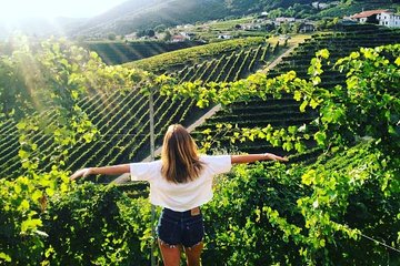 Prosecco hills hiking tour and wine tasting