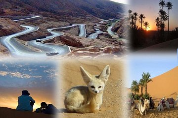 fes to marrakech desert tour 3 days
