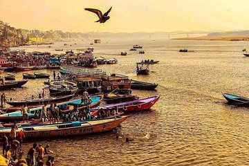 Unveiling the Soul of Kashi: A One-Day Pilgrimage