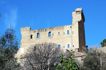 Avignon's history, local culture & the wines of Châteauneuf du Pape private tour