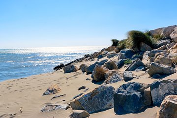 Historic Arles to the wild & windswept beaches of the Camargue private tour