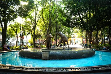 Private City Tour in Frida Kahlo, Coyoacan, and Xochimilco 