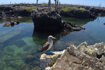 6-Day Land Tour in San Cristobal & Santa Cruz: Kicker Rock, Floreana & Santa Fé