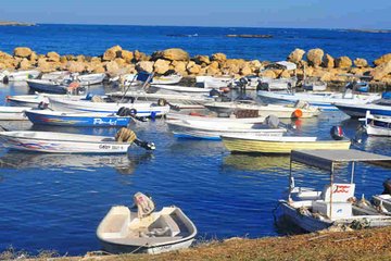 Guided Small-Group Tour to Tripoli and Batroun with Lunch 