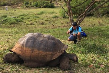 4-Day Galapagos Island Hopping Tour in Santa Cruz