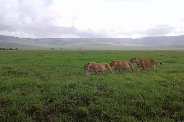 Tanzania Safari - 7 Days Cultural Safari.