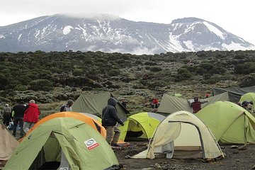 Mount Kilimanjaro climbing,7 days Lemosho Route.