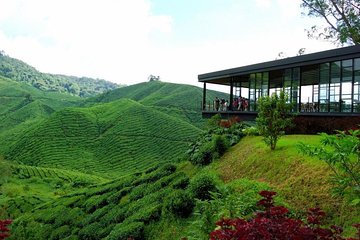 Cameron Highlands to Kuala Lumpur Airport Departure Transfer