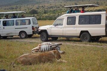  Masai Mara Budget 2 nights tented camp road Safari