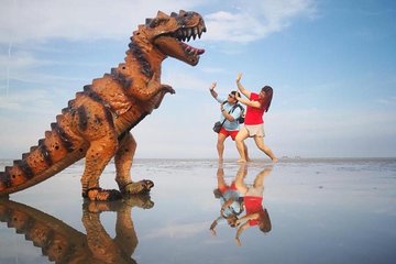 Sky Mirror Mystery Island Experience at Kuala Selangor with Lunch