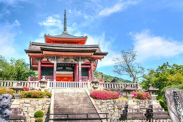 Tokyo Walking Tour with professional guide