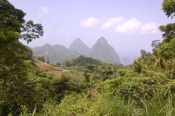 St. Lucia Tet Paul Nature Trail Tour