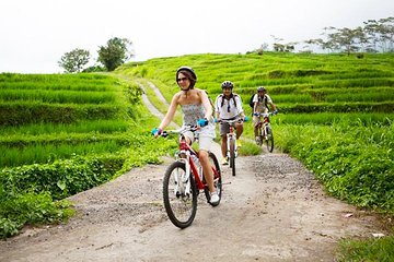 Bali UNESCO World Heritage Site: Jatiluwih Rice Paddy Cycling Tour