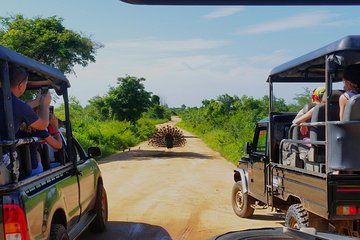 Yala National park with tickets with jeep safari from Hambantota