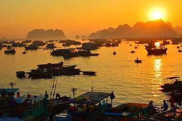 Vietnam Tour 8 days 7 nights: Hanoi- Halong Bay/Lan Ha Bay - Sapa - Trang An 