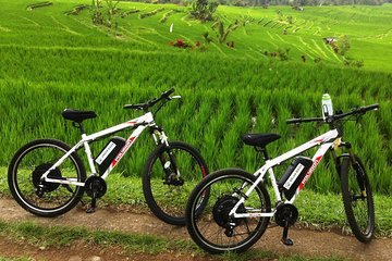 Jatiluwih E-bike