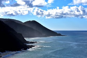 Boutique Great Ocean Road, wildlife and Rainforest Experience