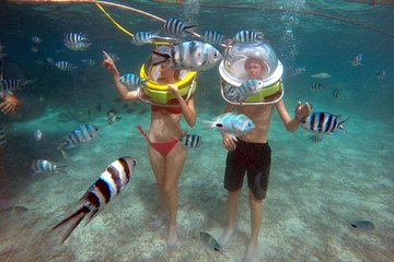 Mesmerizing Ile aux Cerf: Speed Boat, GRSE, Lunch & Undersea walk (Full Day)