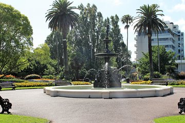 Hidden Culture of Central Auckland, walk and morning tea