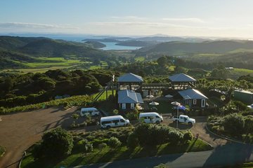 Waiheke Island: Zipline And Forest Walk 