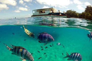 Sancho Bay Swim from Fernando de Noronha