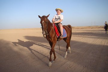 Horseback Or Camel Riding One Hour With Transfer - Sharm El Sheikh