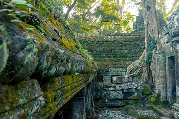 Explore Angkor Wat Sunset Watching Private Experience