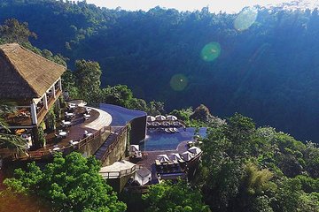 Bali Ubud Hanging Garden Day Tour with Private Transport