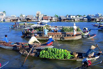 Cai Be floating market & Tan Phong island day trip ( small group)