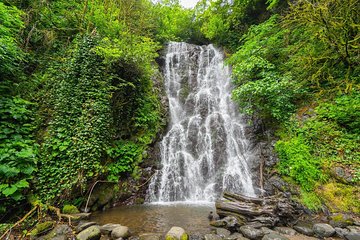 Adjarian Mountains Waterfalls Wine Tour Best views from Batumi Kobuleti