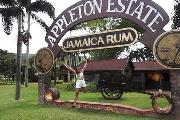 Appleton Estate Rum & Ys Falls private Transportation 