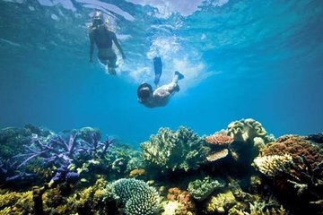 Bali Snorkeling At Blue Lagoon Padang Bai