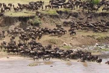 Classic Kenya and Tanzania Migration Safari 2025